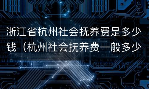 浙江省杭州社会抚养费是多少钱（杭州社会抚养费一般多少钱）