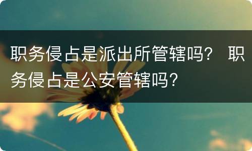 职务侵占是派出所管辖吗？ 职务侵占是公安管辖吗?