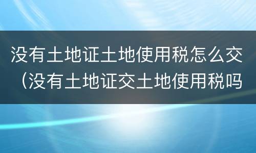 没有土地证土地使用税怎么交（没有土地证交土地使用税吗）