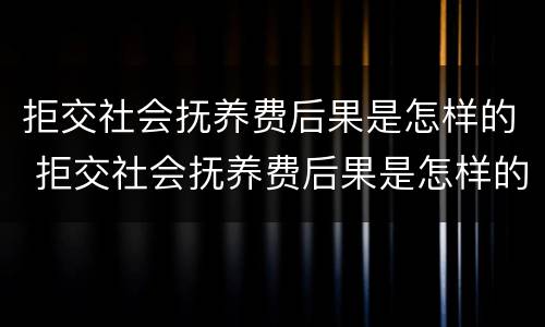 拒交社会抚养费后果是怎样的 拒交社会抚养费后果是怎样的案例