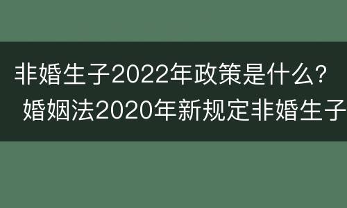 非婚生子2022年政策是什么？ 婚姻法2020年新规定非婚生子