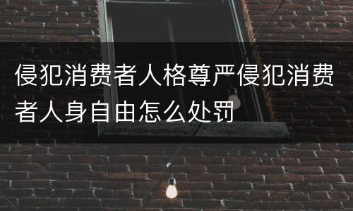 侵犯消费者人格尊严侵犯消费者人身自由怎么处罚