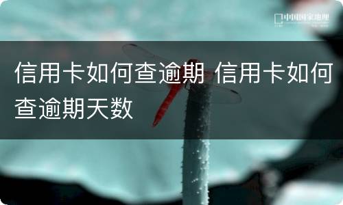 信用卡如何查逾期 信用卡如何查逾期天数