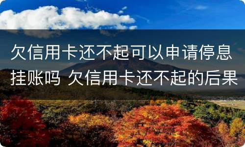 欠信用卡还不起可以申请停息挂账吗 欠信用卡还不起的后果