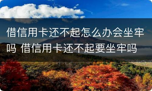 借信用卡还不起怎么办会坐牢吗 借信用卡还不起要坐牢吗