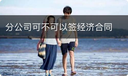 分公司可不可以签经济合同