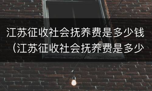 江苏征收社会抚养费是多少钱（江苏征收社会抚养费是多少钱啊）