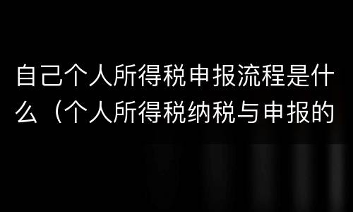 自己个人所得税申报流程是什么（个人所得税纳税与申报的流程是什么）