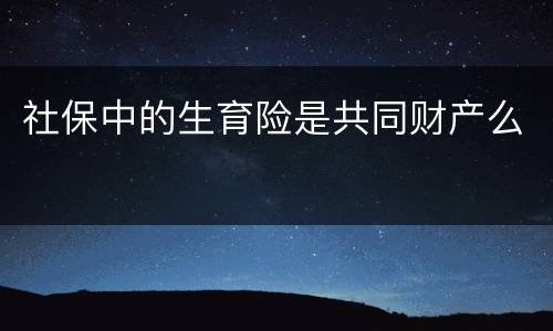 社保中的生育险是共同财产么