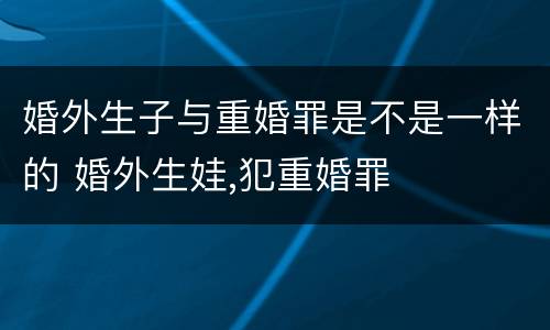 婚外生子与重婚罪是不是一样的 婚外生娃,犯重婚罪