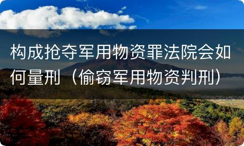 构成抢夺军用物资罪法院会如何量刑（偷窃军用物资判刑）