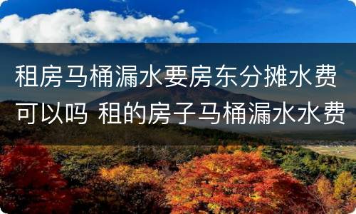 租房马桶漏水要房东分摊水费可以吗 租的房子马桶漏水水费算谁的