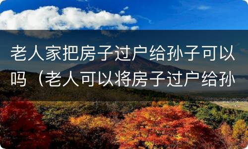 老人家把房子过户给孙子可以吗（老人可以将房子过户给孙子吗）