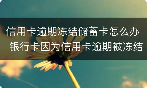 信用卡逾期冻结储蓄卡怎么办 银行卡因为信用卡逾期被冻结怎么办