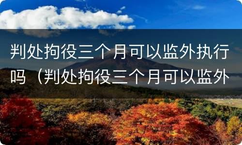 判处拘役三个月可以监外执行吗（判处拘役三个月可以监外执行吗会减刑吗）