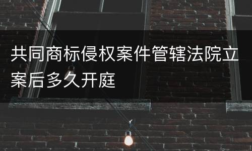 共同商标侵权案件管辖法院立案后多久开庭