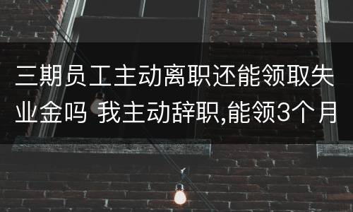 三期员工主动离职还能领取失业金吗 我主动辞职,能领3个月的失业金吗