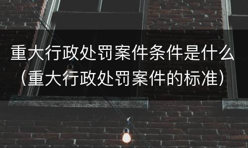 重大行政处罚案件条件是什么（重大行政处罚案件的标准）