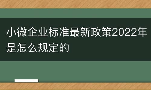 小微企业标准最新政策2022年是怎么规定的