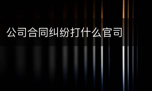 公司合同纠纷打什么官司