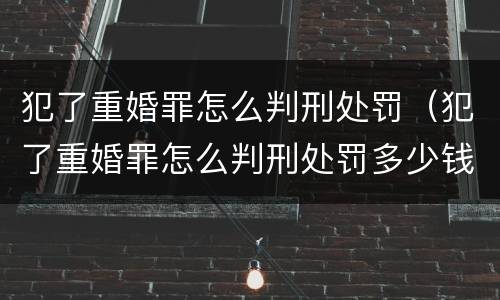 犯了重婚罪怎么判刑处罚（犯了重婚罪怎么判刑处罚多少钱）