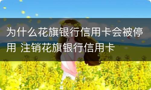 为什么花旗银行信用卡会被停用 注销花旗银行信用卡