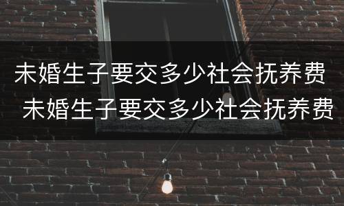 未婚生子要交多少社会抚养费 未婚生子要交多少社会抚养费呢