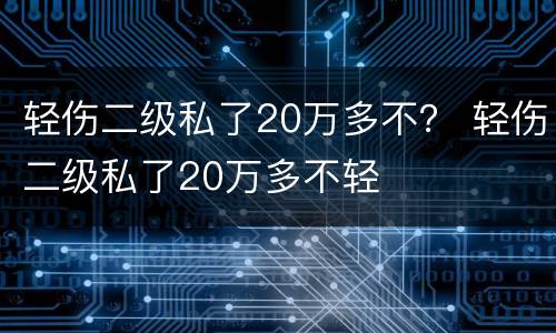 轻伤二级私了20万多不？ 轻伤二级私了20万多不轻