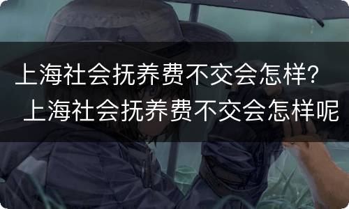 上海社会抚养费不交会怎样？ 上海社会抚养费不交会怎样呢