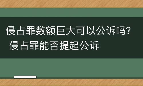 侵占罪数额巨大可以公诉吗？ 侵占罪能否提起公诉