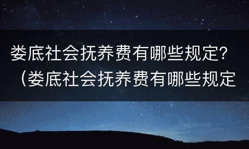 娄底社会抚养费有哪些规定？（娄底社会抚养费有哪些规定发放）