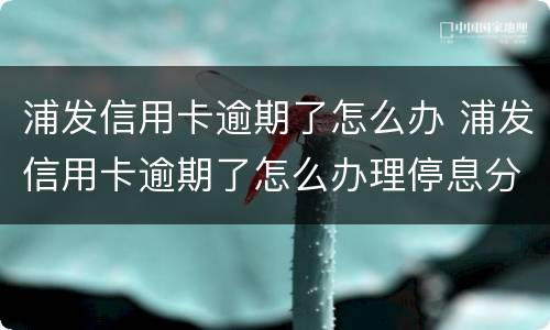 浦发信用卡逾期了怎么办 浦发信用卡逾期了怎么办理停息分期