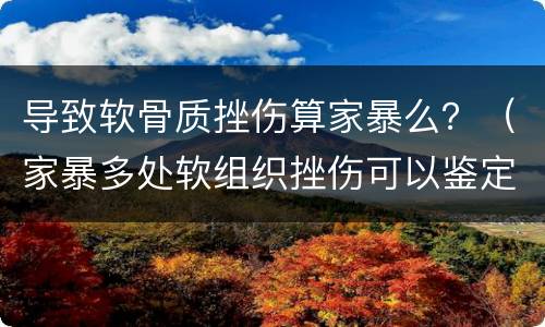 导致软骨质挫伤算家暴么？（家暴多处软组织挫伤可以鉴定为什么伤）