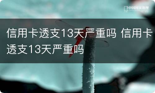 信用卡透支13天严重吗 信用卡透支13天严重吗