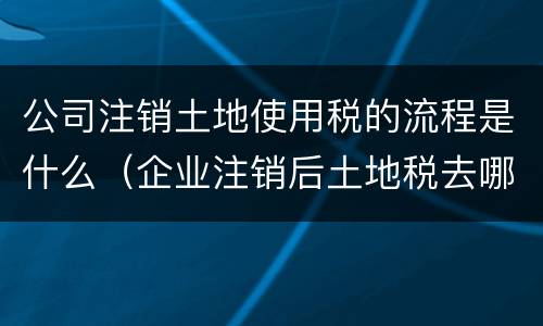 公司注销土地使用税的流程是什么（企业注销后土地税去哪交）