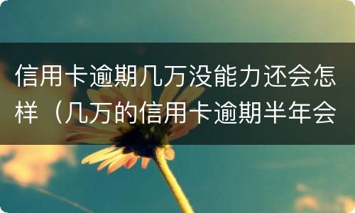 信用卡逾期几万没能力还会怎样（几万的信用卡逾期半年会坐牢吗?）