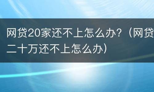 网贷20家还不上怎么办?（网贷二十万还不上怎么办）