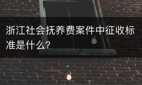 浙江社会抚养费案件中征收标准是什么？