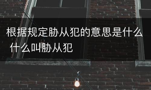 根据规定胁从犯的意思是什么 什么叫胁从犯