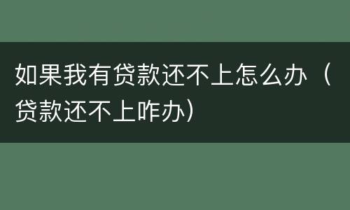 如果我有贷款还不上怎么办（贷款还不上咋办）