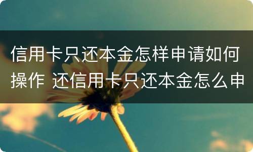 信用卡只还本金怎样申请如何操作 还信用卡只还本金怎么申请
