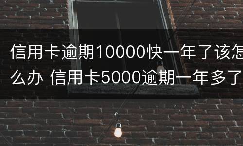 信用卡逾期10000快一年了该怎么办 信用卡5000逾期一年多了怎么办