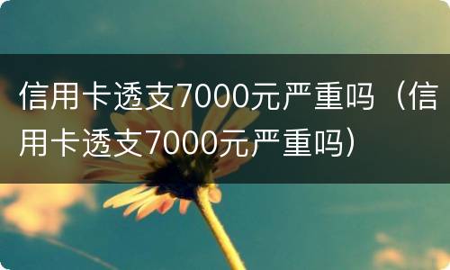 信用卡透支7000元严重吗（信用卡透支7000元严重吗）