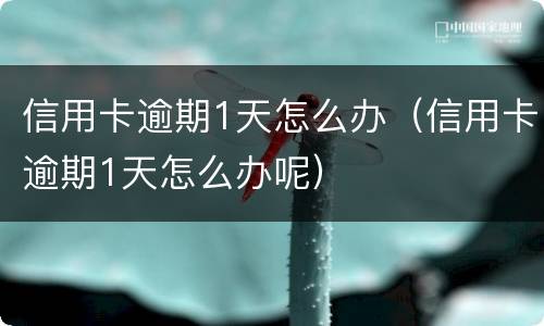 信用卡逾期1天怎么办（信用卡逾期1天怎么办呢）