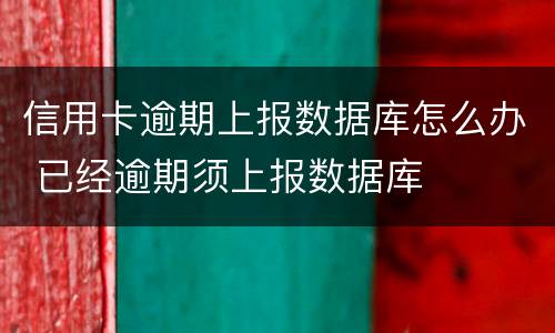 信用卡逾期上报数据库怎么办 已经逾期须上报数据库