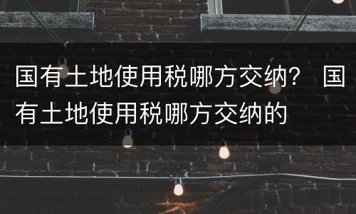 国有土地使用税哪方交纳？ 国有土地使用税哪方交纳的