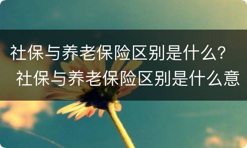 社保与养老保险区别是什么？ 社保与养老保险区别是什么意思