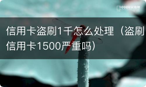 信用卡盗刷1千怎么处理（盗刷信用卡1500严重吗）