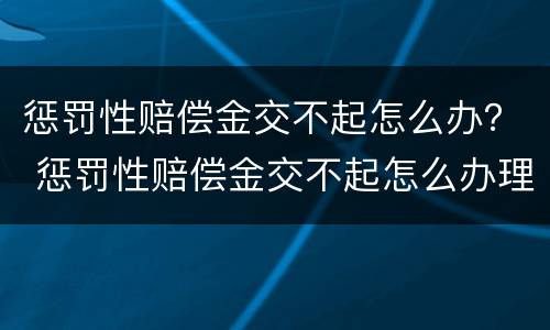 惩罚性赔偿金交不起怎么办？ 惩罚性赔偿金交不起怎么办理