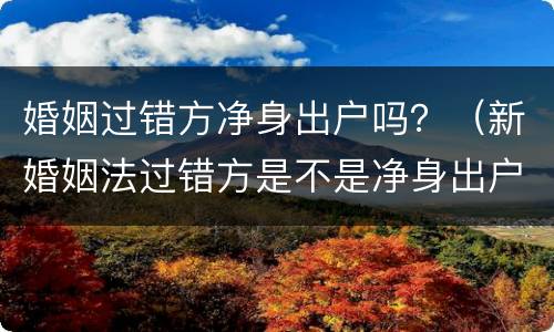 婚姻过错方净身出户吗？（新婚姻法过错方是不是净身出户）